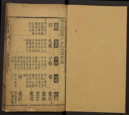 湖北林氏族谱-林氏宗谱[残卷](别名：Lin Shi Zong Pu).pdf电子版插图1