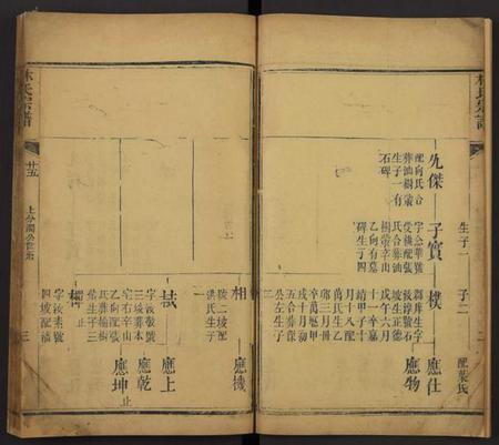 湖北林氏族谱-林氏宗谱[残卷](别名：Lin Shi Zong Pu).pdf电子版插图3