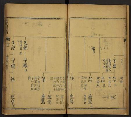 湖北林氏族谱-林氏宗谱[残卷](别名：Lin Shi Zong Pu).pdf电子版插图5