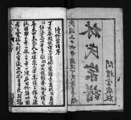 湖北林氏族谱-西陵林氏宗谱 [10卷,首3卷](别名：林氏宗谱、Xi Ling Lin Shi Zong Pu).pdf电子版插图3