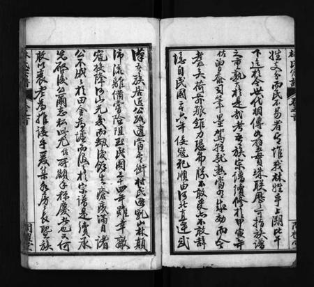 湖北林氏族谱-西陵林氏宗谱 [10卷,首3卷](别名：林氏宗谱、Xi Ling Lin Shi Zong Pu).pdf电子版插图4