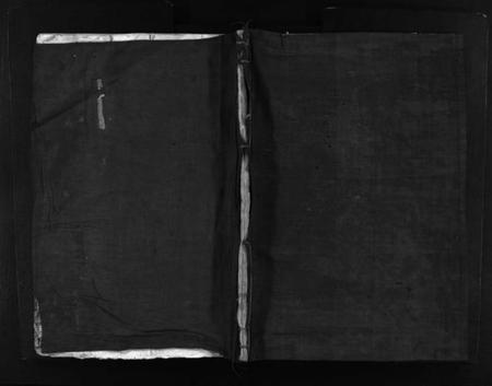 浙江万氏族谱-龙江万氏宗谱 [不分卷].pdf电子版插图1