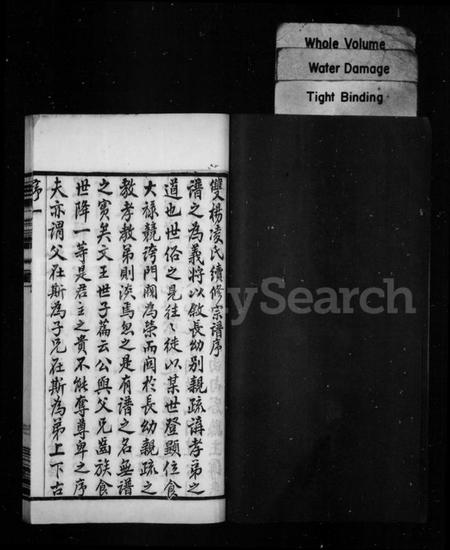 江苏凌氏族谱-凌氏宗谱 [18卷](别名：凌氏族谱).pdf电子版插图2