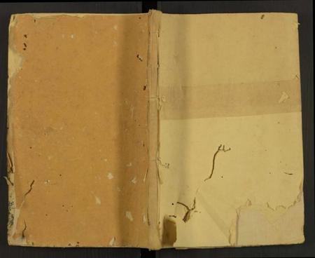 中国刘氏族谱-刘氏鸿丁草谱[总卷数不详](别名：Liu Shi Hong Ding Cao Pu、刘氏鸿丁草谱).pdf电子版