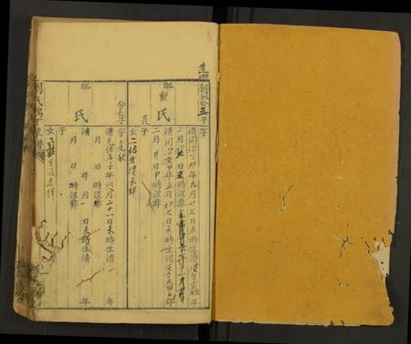 中国刘氏族谱-刘氏鸿丁草谱[总卷数不详](别名：Liu Shi Hong Ding Cao Pu、刘氏鸿丁草谱).pdf电子版插图1