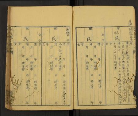 中国刘氏族谱-刘氏鸿丁草谱[总卷数不详](别名：Liu Shi Hong Ding Cao Pu、刘氏鸿丁草谱).pdf电子版插图2