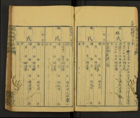 中国刘氏族谱-刘氏鸿丁草谱[总卷数不详](别名：Liu Shi Hong Ding Cao Pu、刘氏鸿丁草谱).pdf电子版插图3