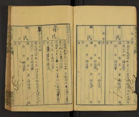 中国刘氏族谱-刘氏鸿丁草谱[总卷数不详](别名：Liu Shi Hong Ding Cao Pu、刘氏鸿丁草谱).pdf电子版插图5