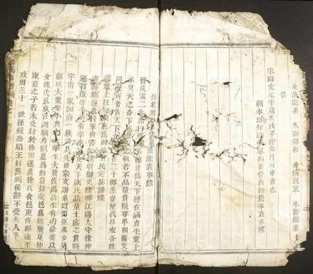 浙江徐氏族谱-龙陂徐氏宗谱.pdf电子版插图4