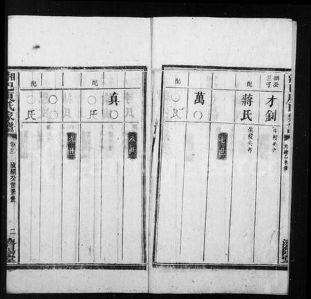 湖南庾氏族谱-湘巴庾氏家谱 [3卷,首1卷].pdf电子版插图3