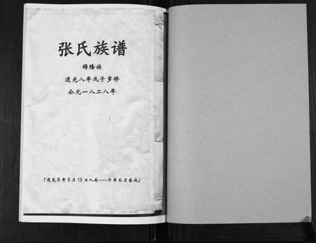 湖南张氏族谱-张氏族谱.pdf电子版插图1