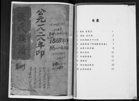 湖南张氏族谱-张氏族谱.pdf电子版插图2