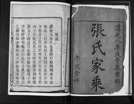 湖南张氏族谱-张氏族谱.pdf电子版插图3