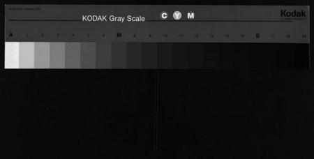 湖北刘氏族谱-刘氏宗谱[11卷,首2卷](别名：藜照堂宗谱、刘氏宗谱).pdf电子版