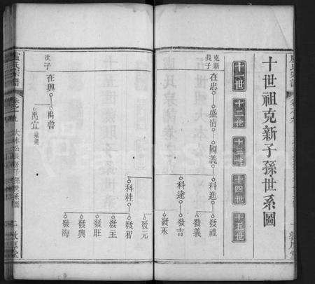 湖北卢氏族谱-卢氏宗谱 [11卷,首1卷](别名：Lu Shi Zong Pu).pdf电子版插图2