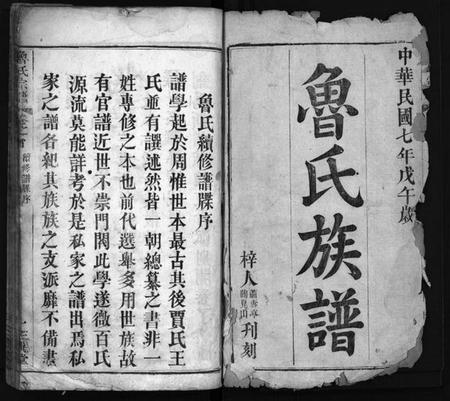 湖北鲁氏族谱-鲁氏宗谱(别名：Lu Shi Zong Pu、鲁氏宗谱).pdf电子版插图2
