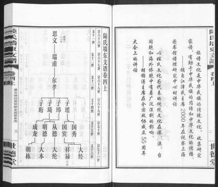 江苏陆氏族谱-陆氏墙东支谱 [残卷](别名：墙东类稿、澄江陆氏墙东支谱).pdf电子版插图2