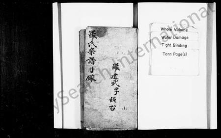 四川罗氏族谱-罗氏家谱(别名：罗氏宗谱、金盘罗氏宗谱).pdf电子版插图1
