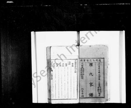 四川罗氏族谱-罗氏家谱(别名：罗氏宗谱、金盘罗氏宗谱).pdf电子版插图2