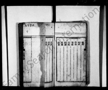 四川罗氏族谱-罗氏家谱(别名：罗氏宗谱、金盘罗氏宗谱).pdf电子版插图4