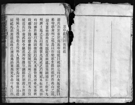 湖北罗氏族谱-罗氏续修宗谱 [42卷,首6卷](别名：湖北黄冈县钓鱼台罗氏第二次续修宗谱、Luo Shi Xu Xiu Zong Pu、罗氏续修宗谱、罗氏宗谱).pdf电子版插图5