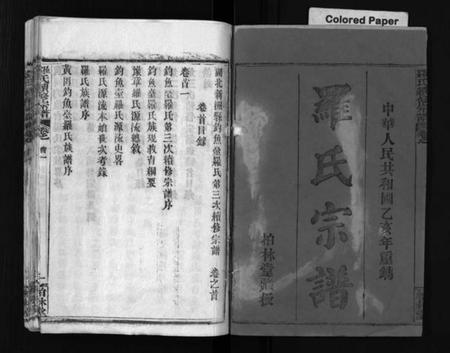 湖北罗氏族谱-湖北新洲县钓鱼台罗氏第三次续修宗谱 [62卷,首6卷](别名：罗氏宗谱、Hu Bei Xin Zhou Xian Diao Yu Tai Luo Shi Di San Ci Xu Xiu Zong Pu、罗氏续修宗谱、湖北新洲县钓鱼台罗氏第三次续修宗谱).pdf电子版插图2