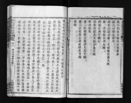 湖北罗氏族谱-湖北新洲县钓鱼台罗氏第三次续修宗谱 [62卷,首6卷](别名：罗氏宗谱、Hu Bei Xin Zhou Xian Diao Yu Tai Luo Shi Di San Ci Xu Xiu Zong Pu、罗氏续修宗谱、湖北新洲县钓鱼台罗氏第三次续修宗谱).pdf电子版插图3