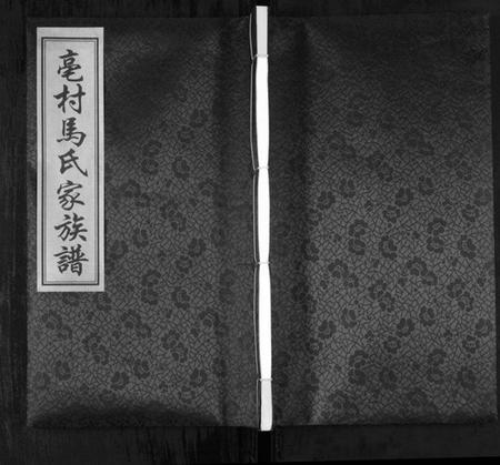 江苏马氏族谱-亳村马氏家族谱[1册](别名：Bo Cun Ma Shi Jia Zu Pu、亳村马氏家族谱).pdf电子版
