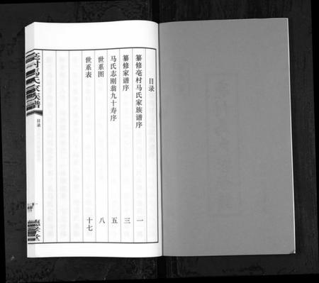 江苏马氏族谱-亳村马氏家族谱[1册](别名：Bo Cun Ma Shi Jia Zu Pu、亳村马氏家族谱).pdf电子版插图2