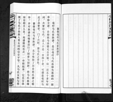 江苏马氏族谱-亳村马氏家族谱[1册](别名：Bo Cun Ma Shi Jia Zu Pu、亳村马氏家族谱).pdf电子版插图3