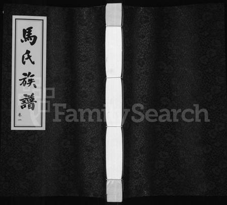 江苏马氏族谱-马氏族谱 [2卷](桃林马氏三修家谱).pdf电子版