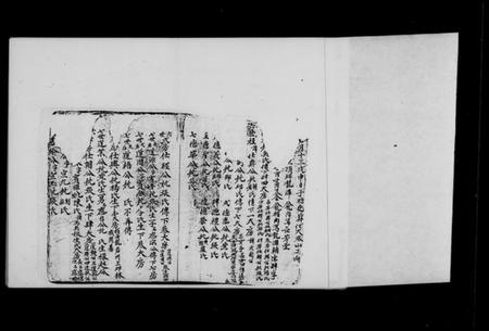 湖南左氏萧氏族谱-[左萧氏族谱].pdf电子版插图3