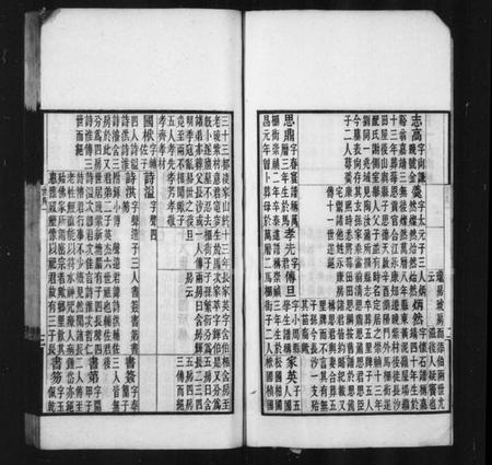 中国梅氏族谱-甯乡梅氏世典(别名：甯乡莓田梅氏世典).pdf电子版插图4