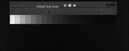 湖北梅氏族谱-梅氏宗谱 [10卷,首1卷](别名：梅氏六修宗谱、Mei Shi Zong Pu).pdf电子版