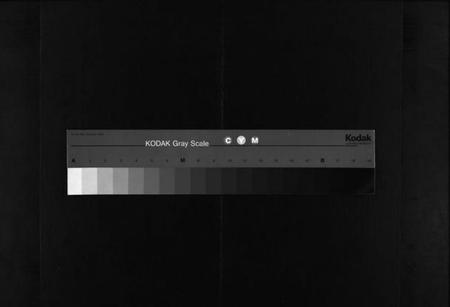 湖北梅氏族谱-梅氏族谱 [33卷,首5卷](别名：Mei Shi Zu Pu).pdf电子版