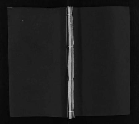 湖北倪氏族谱-倪氏宗谱 [5卷,首1卷](别名：Ni Shi Zong Pu).pdf电子版插图1