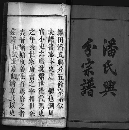 湖北潘氏族谱-潘氏兴分丁丑宗谱 [13卷,首5卷](别名：潘氏兴分宗谱、义水潘氏总传、罗田潘氏兴分五修宗谱、Pan Shi Xing Fen Ding Chou Zong Pu、潘氏宗谱、潘氏兴分丁丑宗谱).pdf电子版插图2