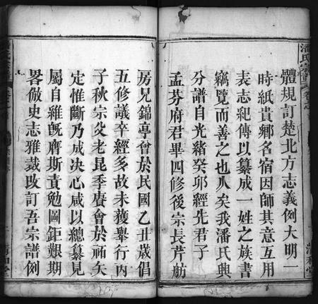 湖北潘氏族谱-潘氏兴分丁丑宗谱 [13卷,首5卷](别名：潘氏兴分宗谱、义水潘氏总传、罗田潘氏兴分五修宗谱、Pan Shi Xing Fen Ding Chou Zong Pu、潘氏宗谱、潘氏兴分丁丑宗谱).pdf电子版插图3