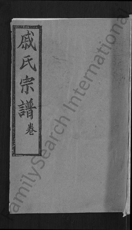 湖北漆氏戚氏族谱-戚(漆)氏宗谱 [卷数不详](别名：戚氏宗谱、漆氏宗谱).pdf电子版