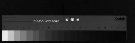 湖北邱氏族谱-邱氏宗谱[11卷,首4卷](别名：Qiu Shi Zong Pu).pdf电子版
