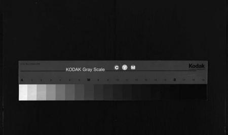 湖北阮氏族谱-阮氏三修族谱新编 [7卷,首1卷](别名：阮氏宗谱、阮氏三修宗谱、Ruan Shi San Xiu Zu Pu Xin Bian).pdf电子版