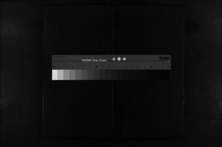 湖北阮氏族谱-阮氏宗谱 [残卷](别名：Ruan Shi Zong Pu).pdf电子版