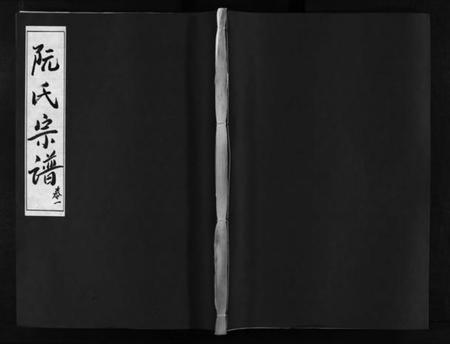 湖北阮氏族谱-阮氏宗谱 [残卷](别名：Ruan Shi Zong Pu).pdf电子版插图1