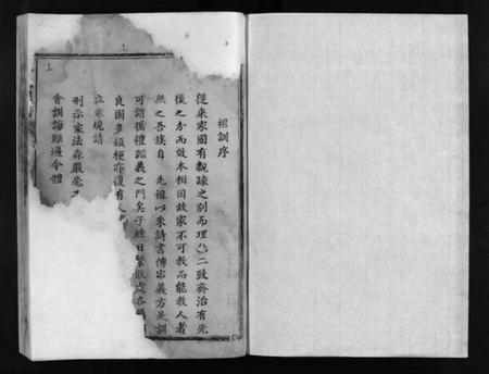 湖北阮氏族谱-阮氏宗谱 [残卷](别名：Ruan Shi Zong Pu).pdf电子版插图2