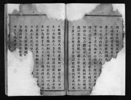 湖北阮氏族谱-阮氏宗谱 [残卷](别名：Ruan Shi Zong Pu).pdf电子版插图4