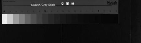 湖北沈氏族谱-沈氏宗谱 [13卷,含首1卷](别名：沈氏三修宗谱、Shen Shi Zong Pu).pdf电子版