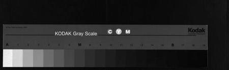 湖北石氏族谱-石氏宗谱 [12卷,含首2卷,末1卷](别名：石氏三修宗谱、Shi Shi Zong Pu).pdf电子版