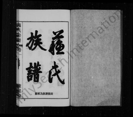 江苏苏氏族谱-苏氏宗谱[11卷](别名：江阴苏氏宗谱).pdf电子版插图2