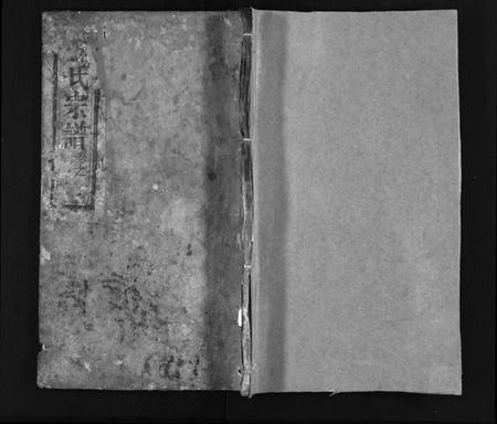 湖北苏氏族谱-苏氏宗谱 [8卷,首2卷](别名：Su Shi Zong Pu、苏氏宗谱).pdf电子版插图1