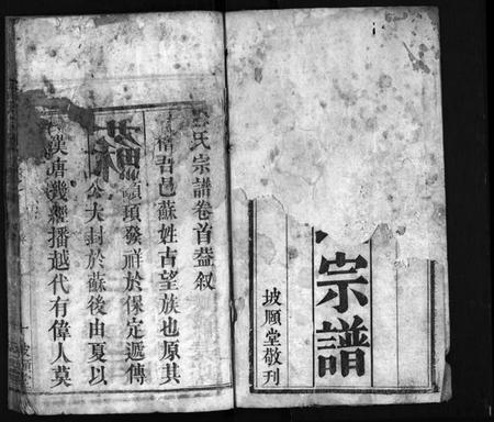 湖北苏氏族谱-苏氏宗谱 [8卷,首2卷](别名：Su Shi Zong Pu、苏氏宗谱).pdf电子版插图2